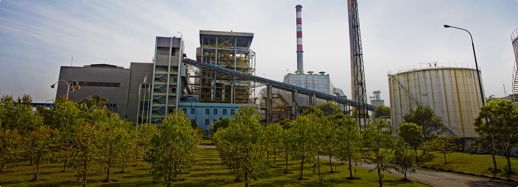 十大纸业公司APP中国业务部：纸浆事业部