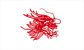 APP中国纸浆品牌：龙